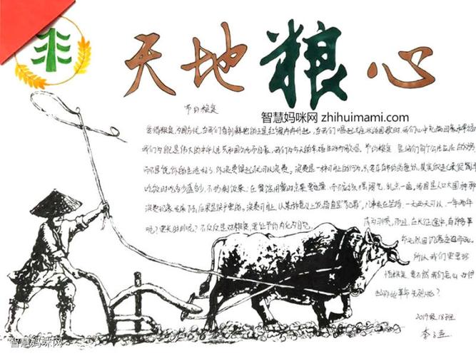 关于节约粮食的手抄报