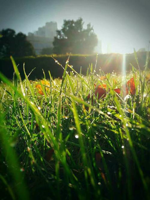 梦想总是遥不可及