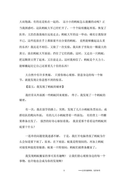 我发现了蚂蚁的秘密