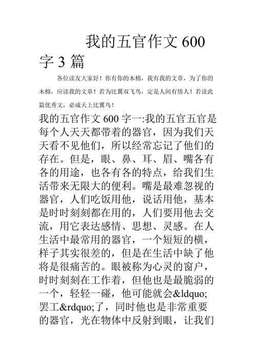 关于五官的作文