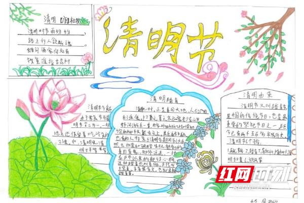 芦淞区南方第三小学开展“我们的节日·清明节”手抄报比赛