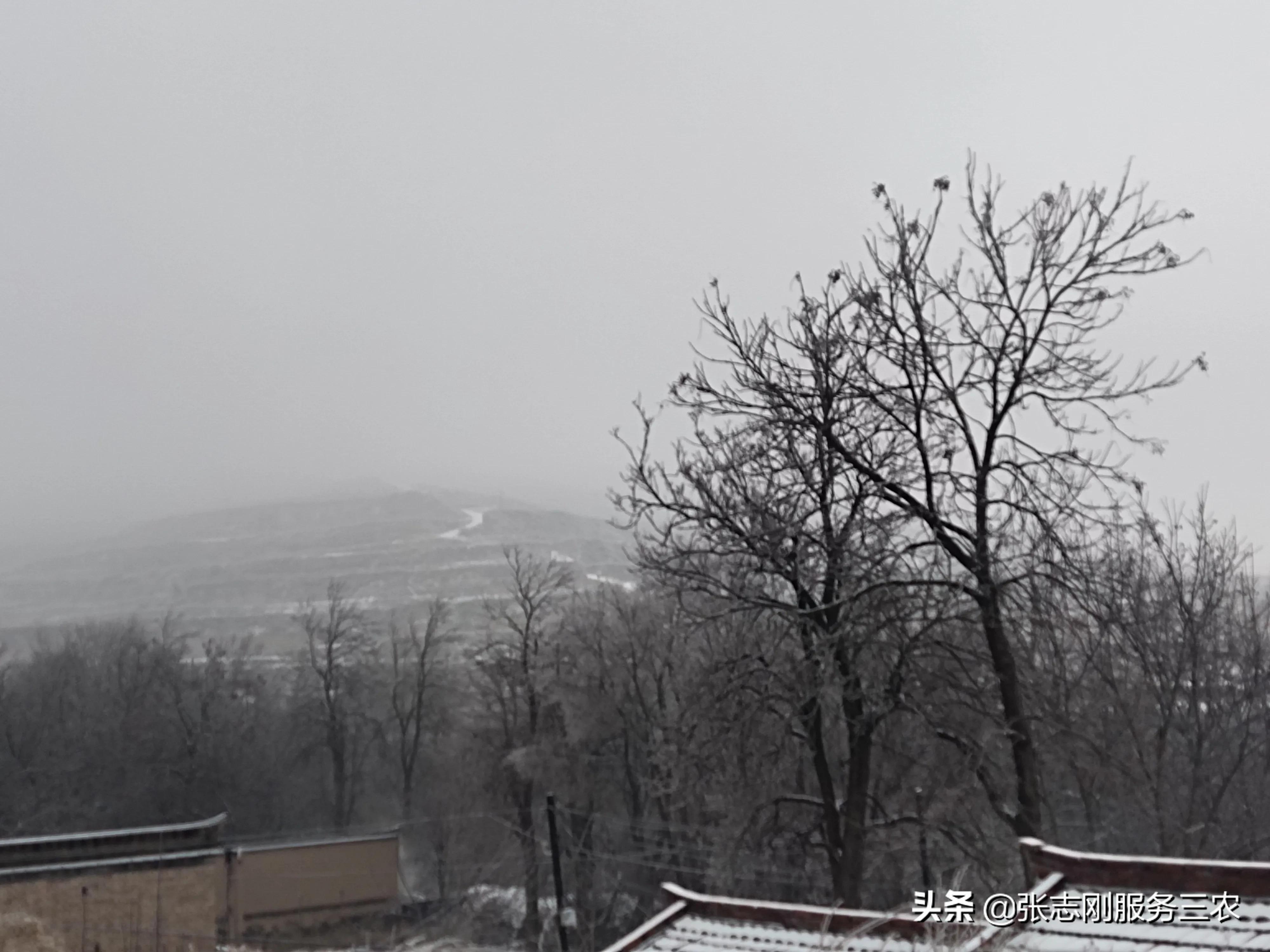 西北农村山区一个贫困孩子家长，写给xxx老师的自我检讨书