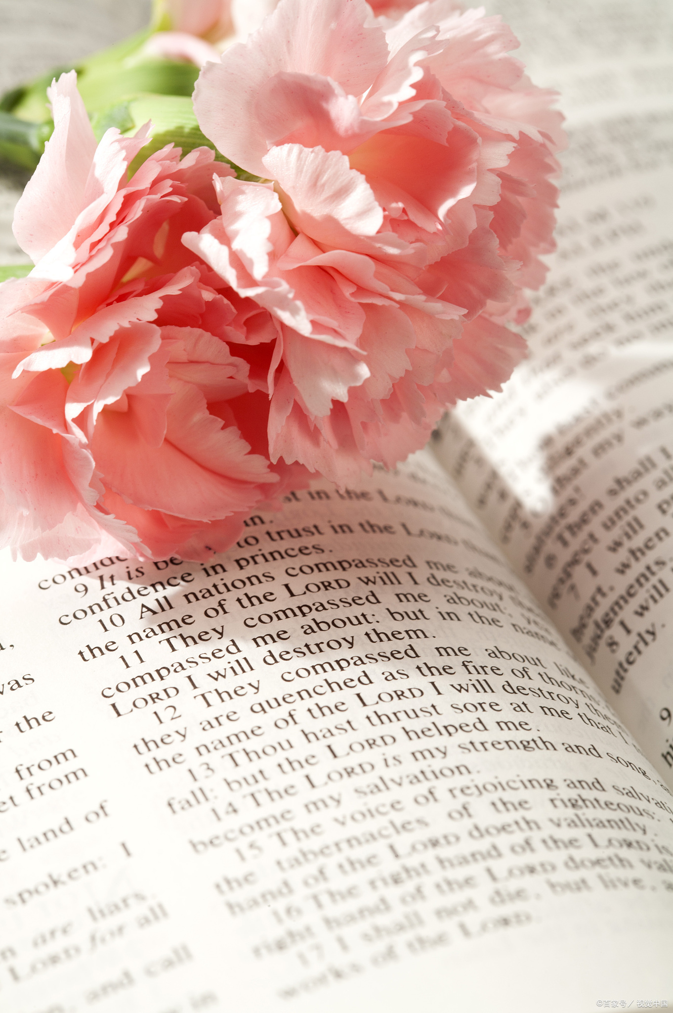 中考满分作文范例：亲情类作文写作（一）