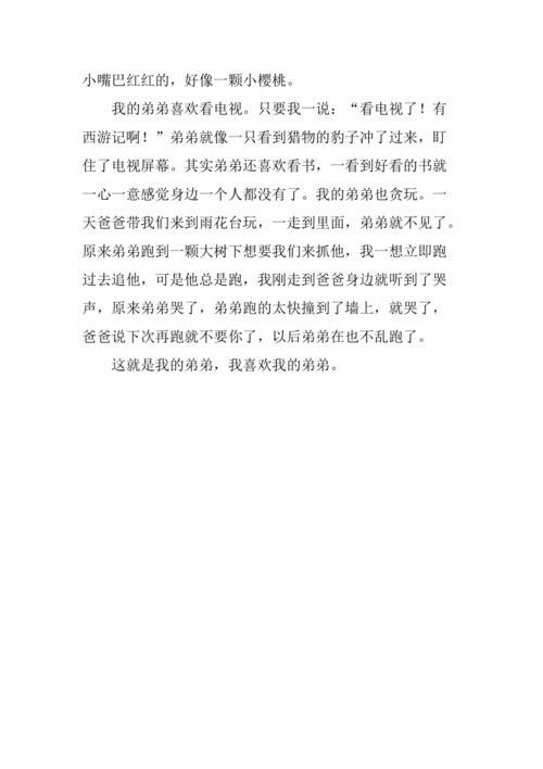 描写人物的作文