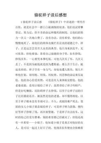 骆驼祥子读后感