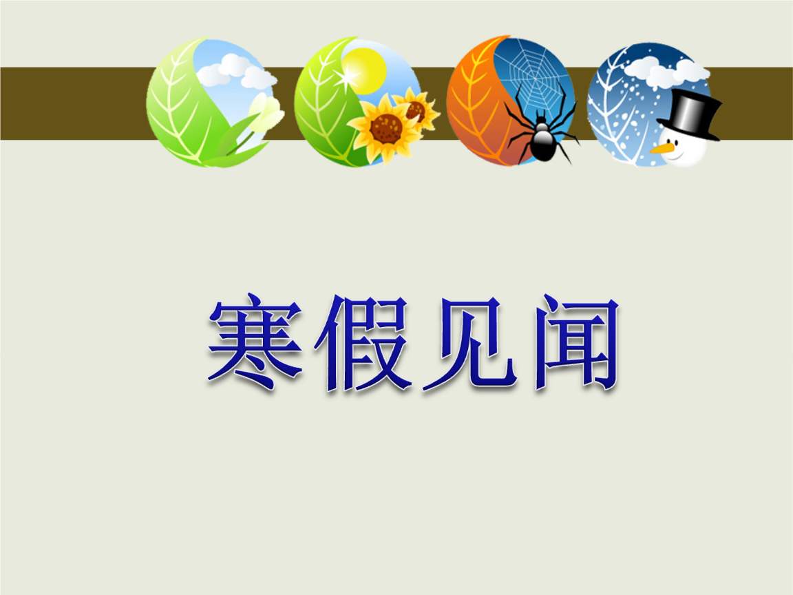小学生六年级寒假见闻作文300字