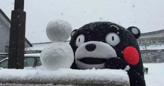 当南方雪景不输北方！2月最后的“季节限定”？| 美图