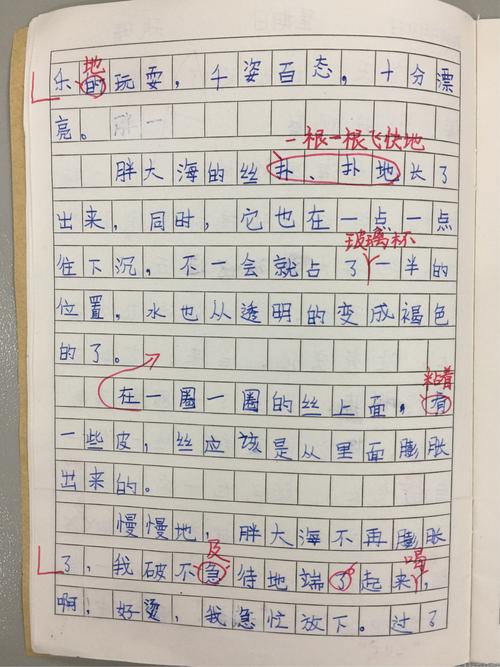 日记怎么写?三年级上册