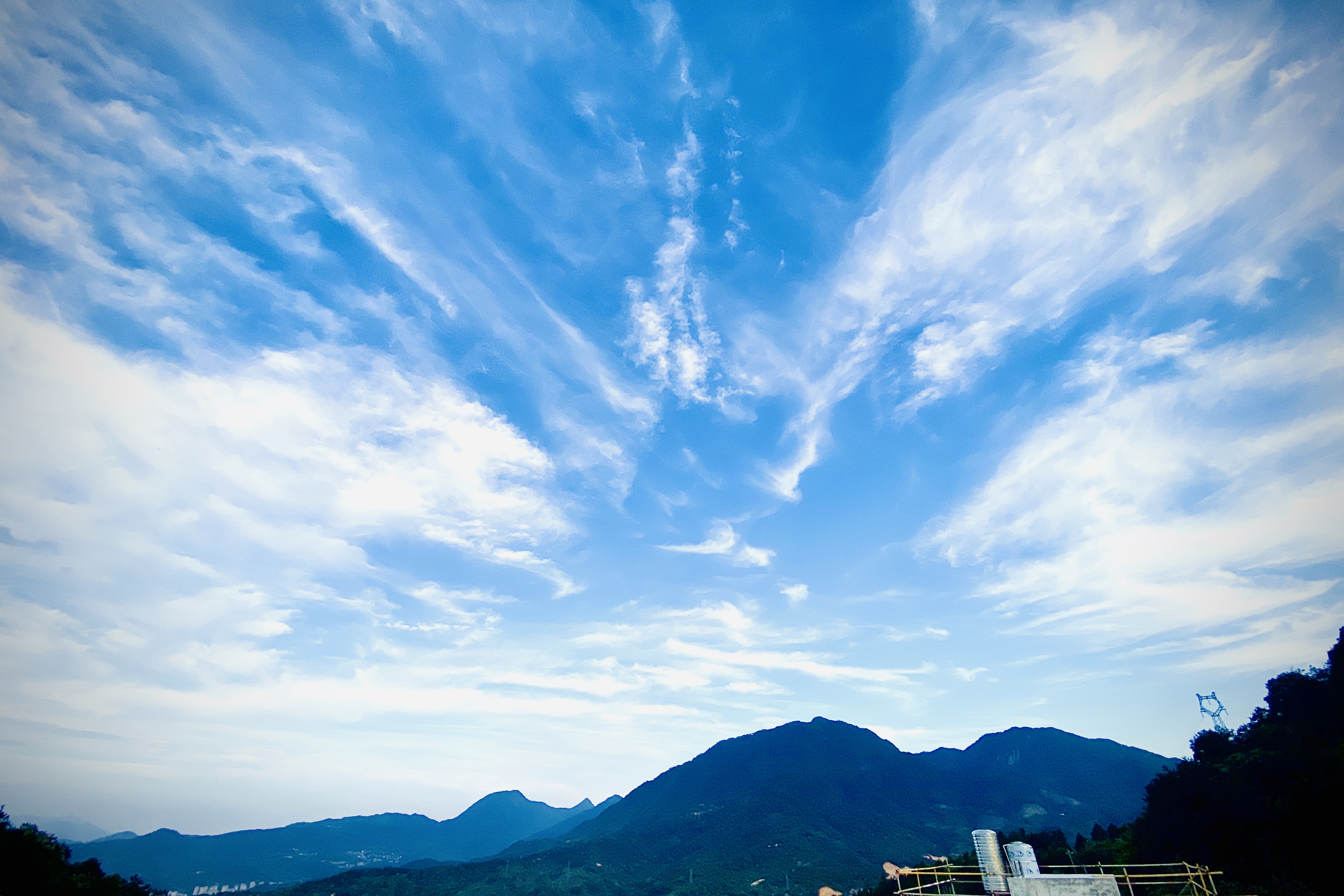 追求生命的美好理想 (2021高考作文 全国乙卷)