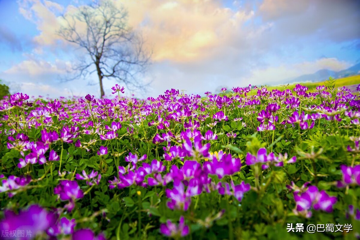 散文：故乡的春天