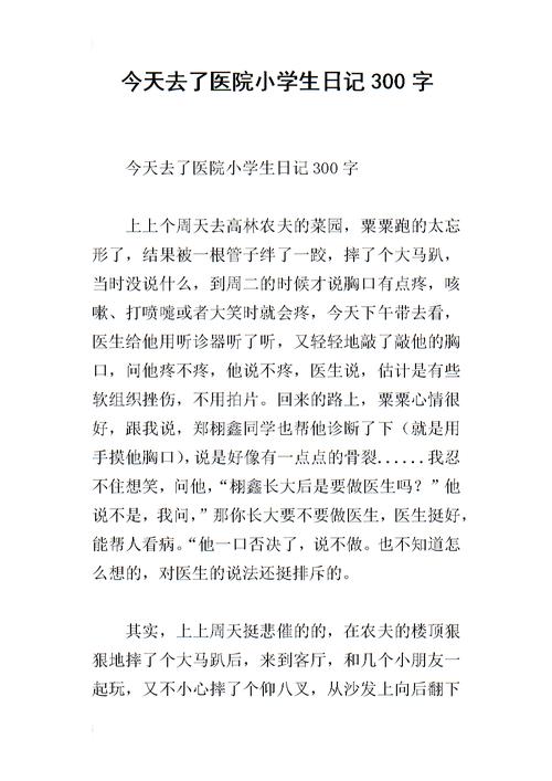 300字日记