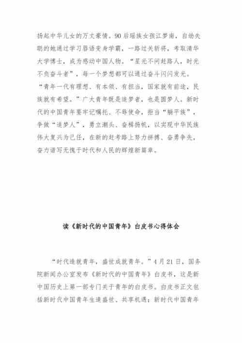 白皮书心得体会