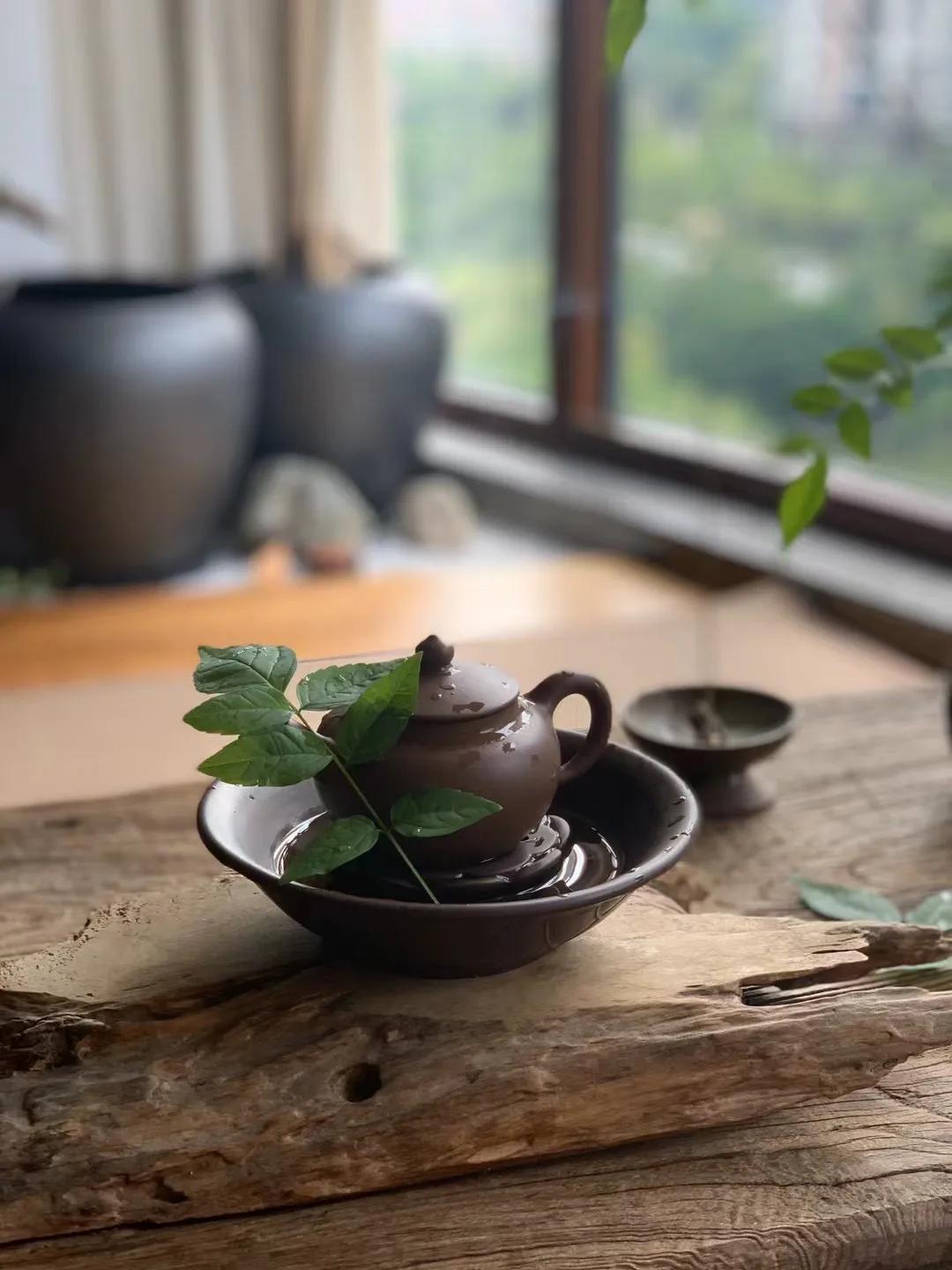 失恋者必看的文章:爱情的傻瓜