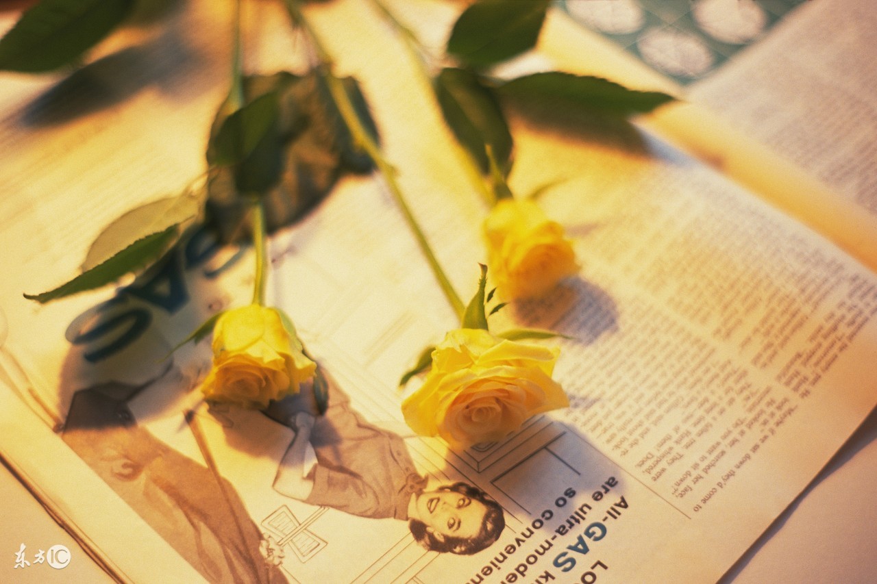 哈工大附中初一学生优秀作文鉴赏!