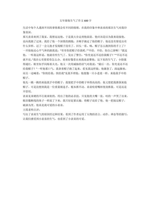 她生气了作文500字五年级