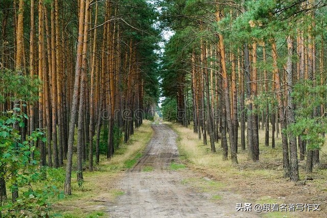 如果用这种特殊的空间顺序,就能写出别具一格的游记作文