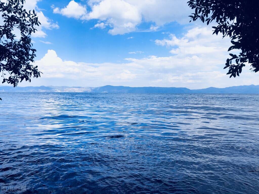 关于宽容的作文(关于宽容的作文)（关于宽容的作文（关于宽容的作文）文章) 