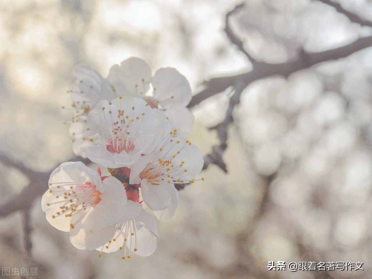 如果用这种特殊的空间顺序,就能写出别具一格的游记作文
