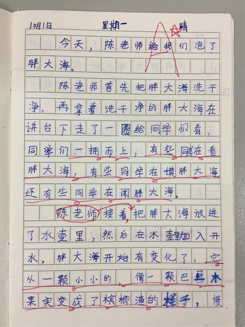 日记怎么写?三年级上册