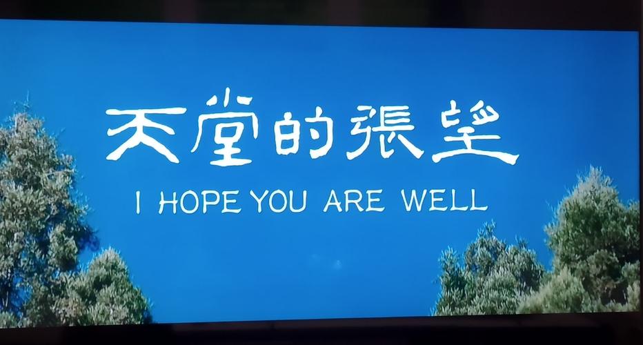 天堂的张望观后感