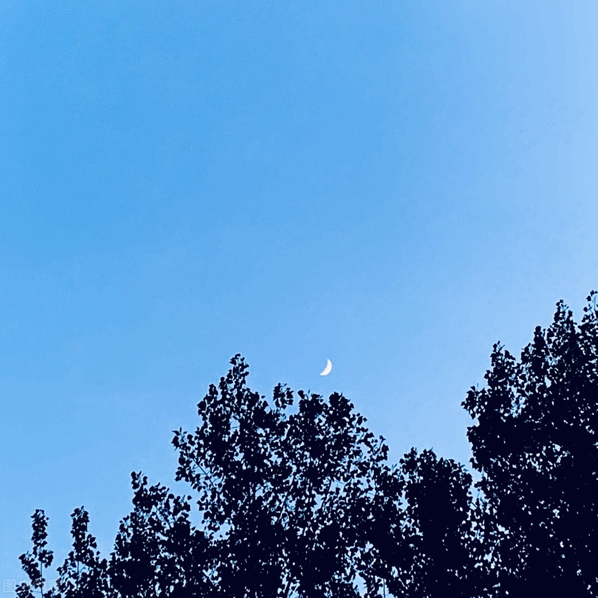 贵州煜华中国传统文化传承网学生征文展示：宽容是人生的一盏明灯