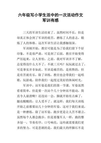 小学军训作文