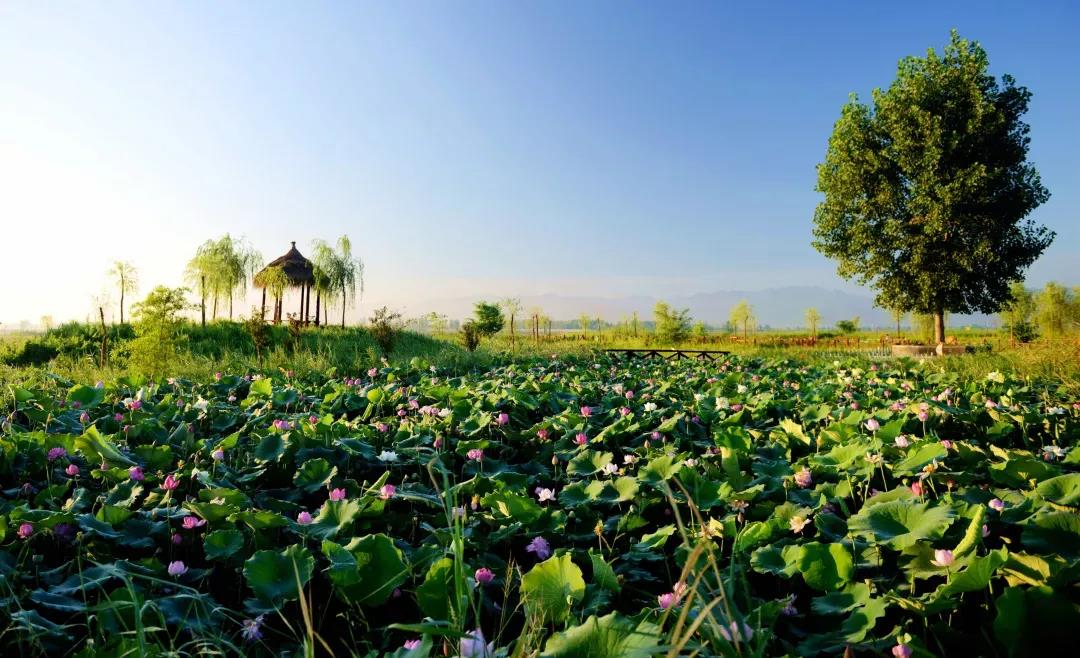 咸阳市生态环境局“绿水青山”主题征文优秀作品展（9）丨在大自然中寻找内心的宁静