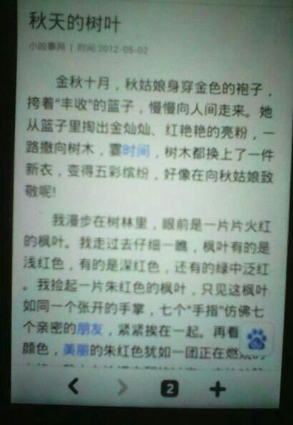 秋天的落叶作文400字