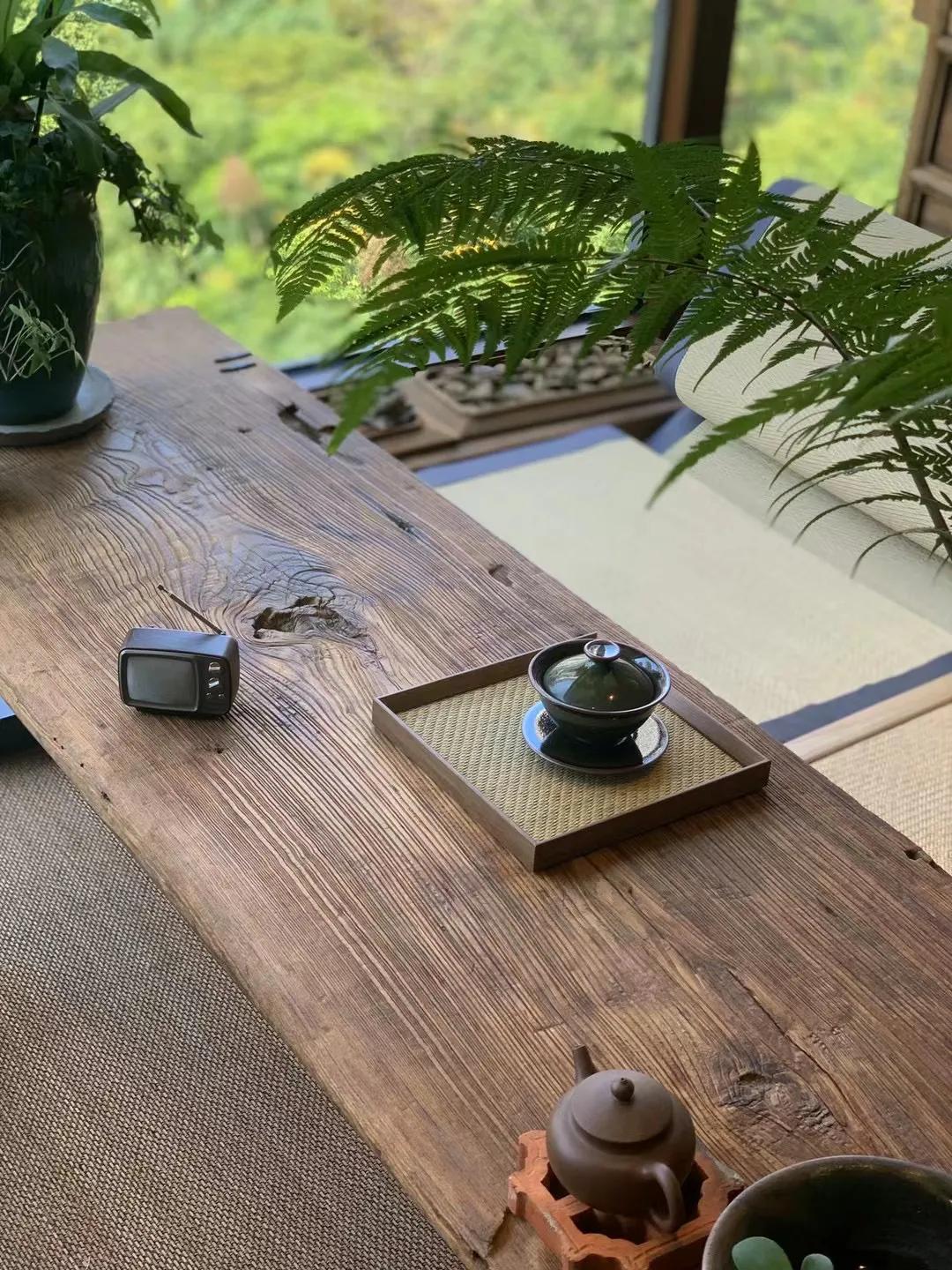 失恋者必看的文章:爱情的傻瓜