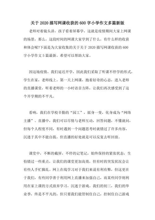 关于网课的作文