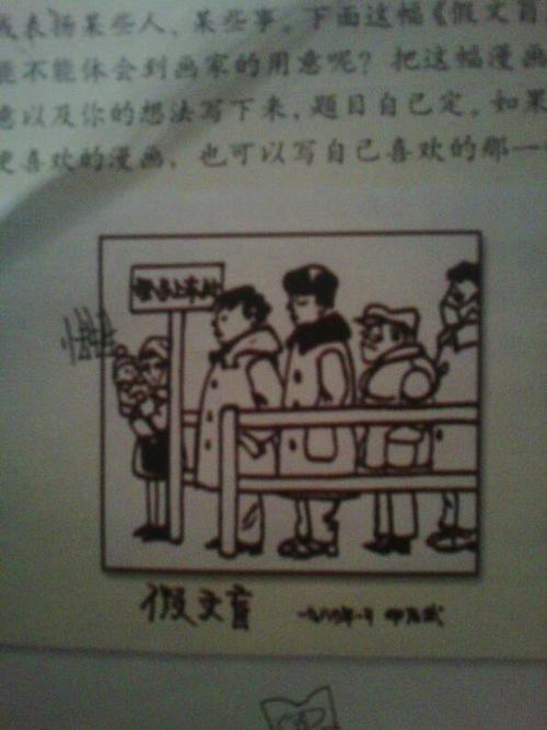 假文盲漫画的启示