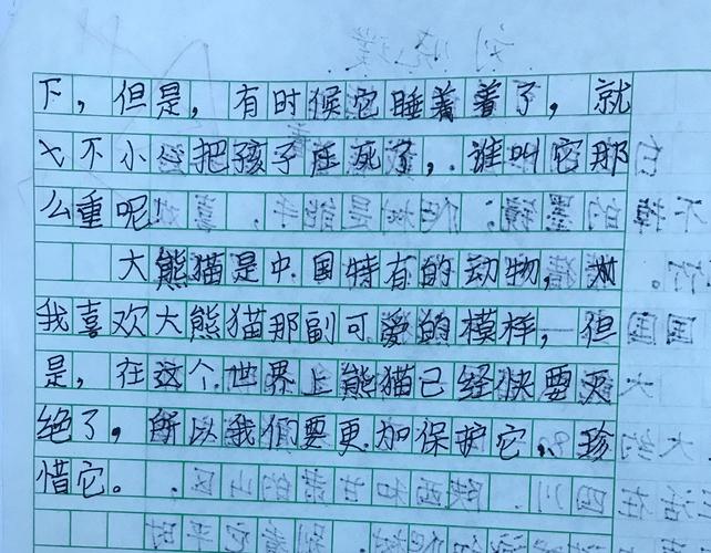 国宝大熊猫300字作文