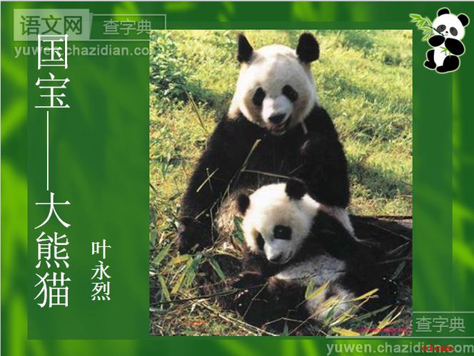 大熊猫的介绍资料(大熊猫的介绍作文)（大熊猫介绍材料（大熊猫介绍作文）文章) 