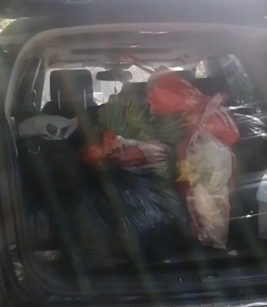 母爱最深沉的爱