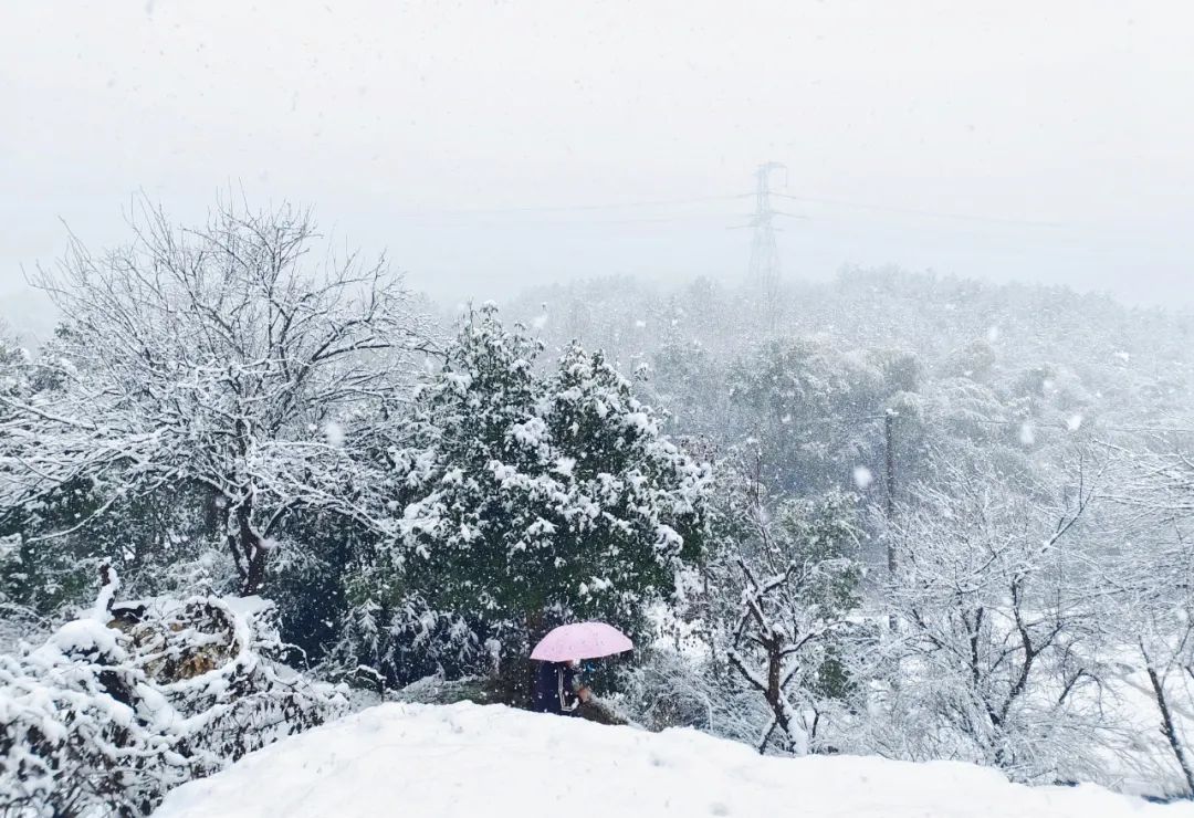 当南方雪景不输北方！2月最后的“季节限定”？| 美图
