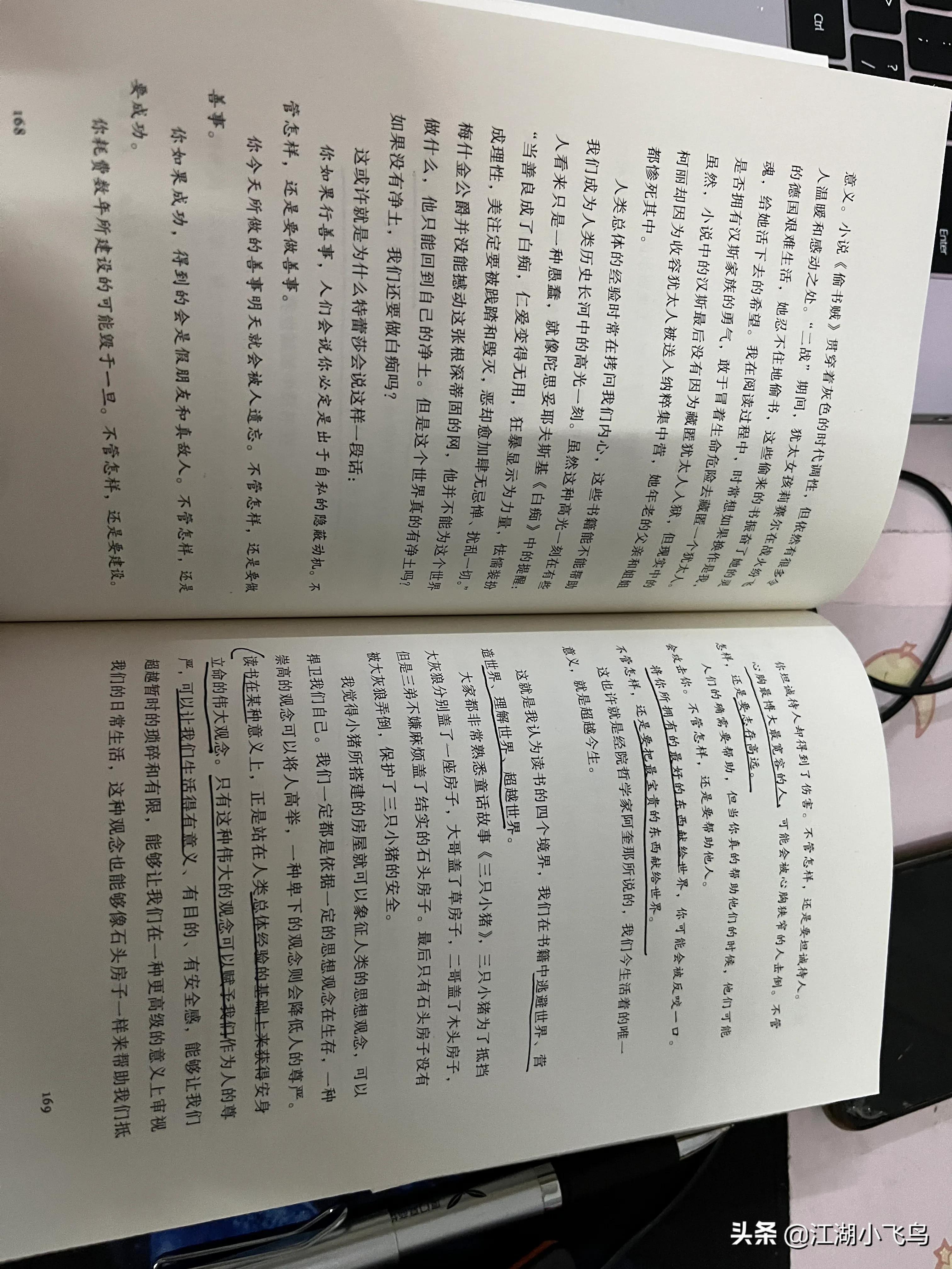 《读罗翔老师的法治的细节有感》