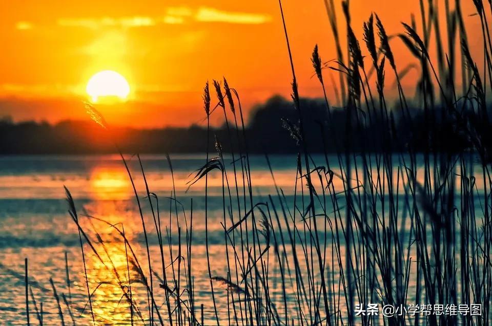 优秀作文《热带雨林探险记》《楼道里的热心肠》《别样的秋》