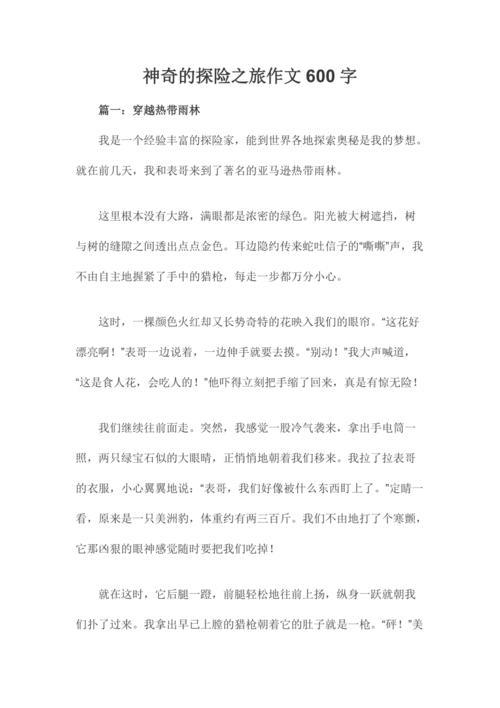 神奇的探险之旅作文300字