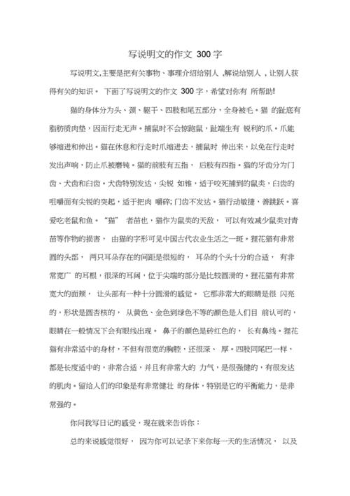 说明文作文300字