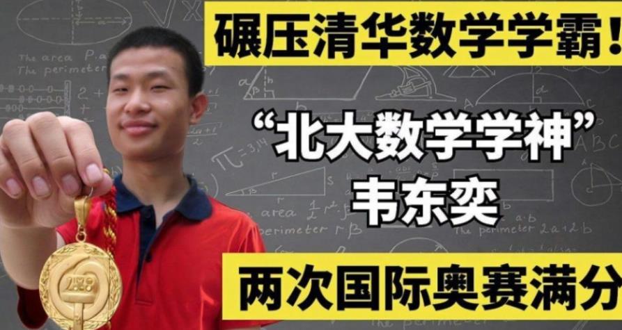 天赋是成功的捷径吗？韦东奕一年级日记走红，天才从小就与众不同