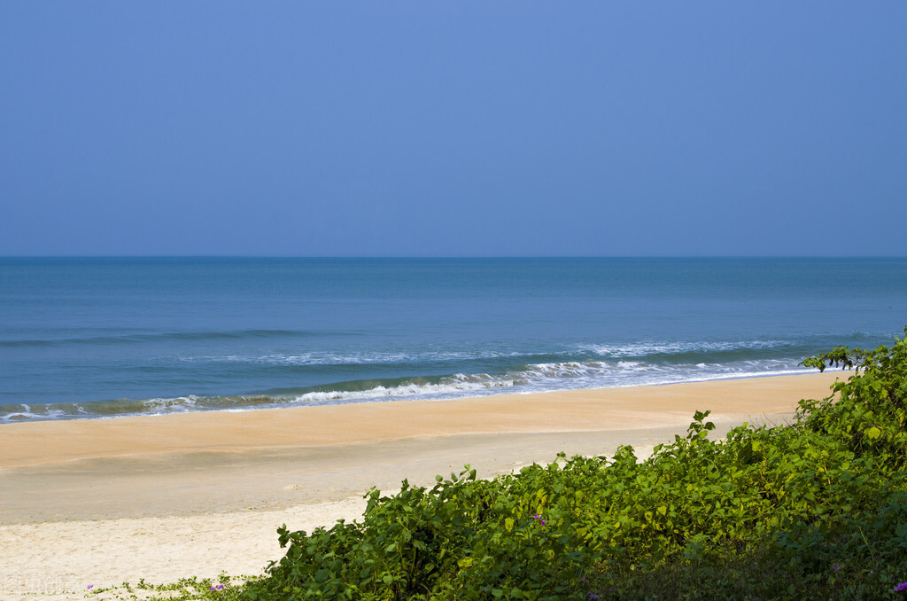 小学生作文:游海记
