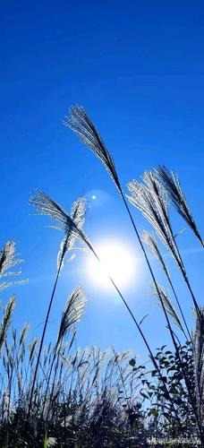 你是我生活的阳光