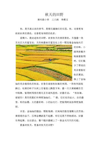 秋天的田野作文300字(秋天的田野作文300字三年级)（秋天田野作文300字（三年级秋天田野作文300字）文章) 