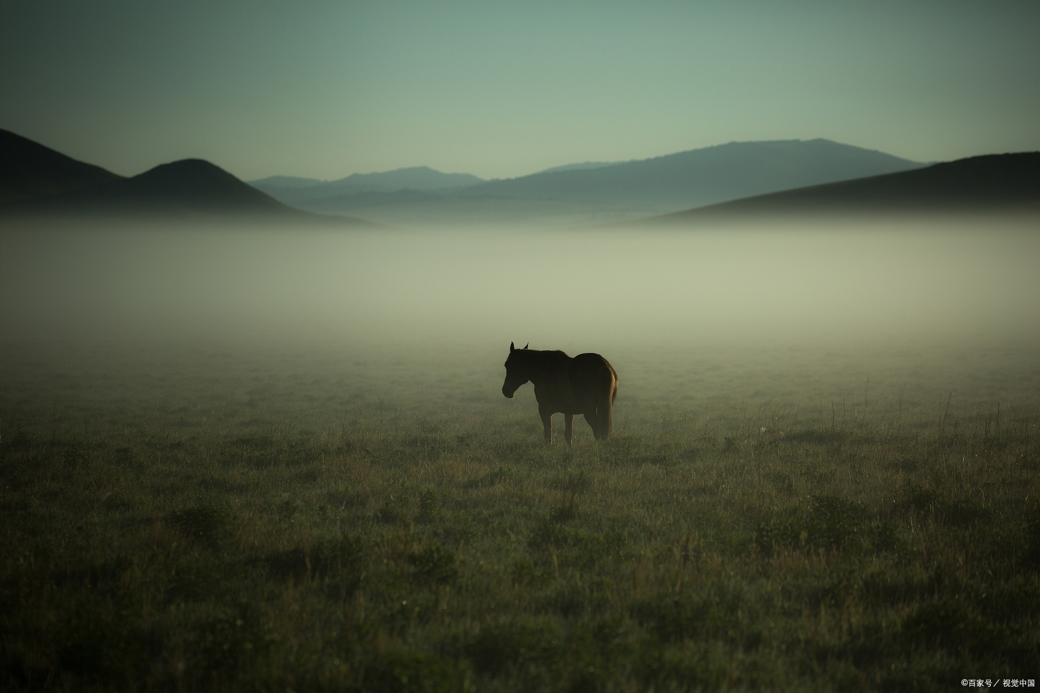 中招热门作文题目《感谢____的日子》怎么写？看老师给你写范文