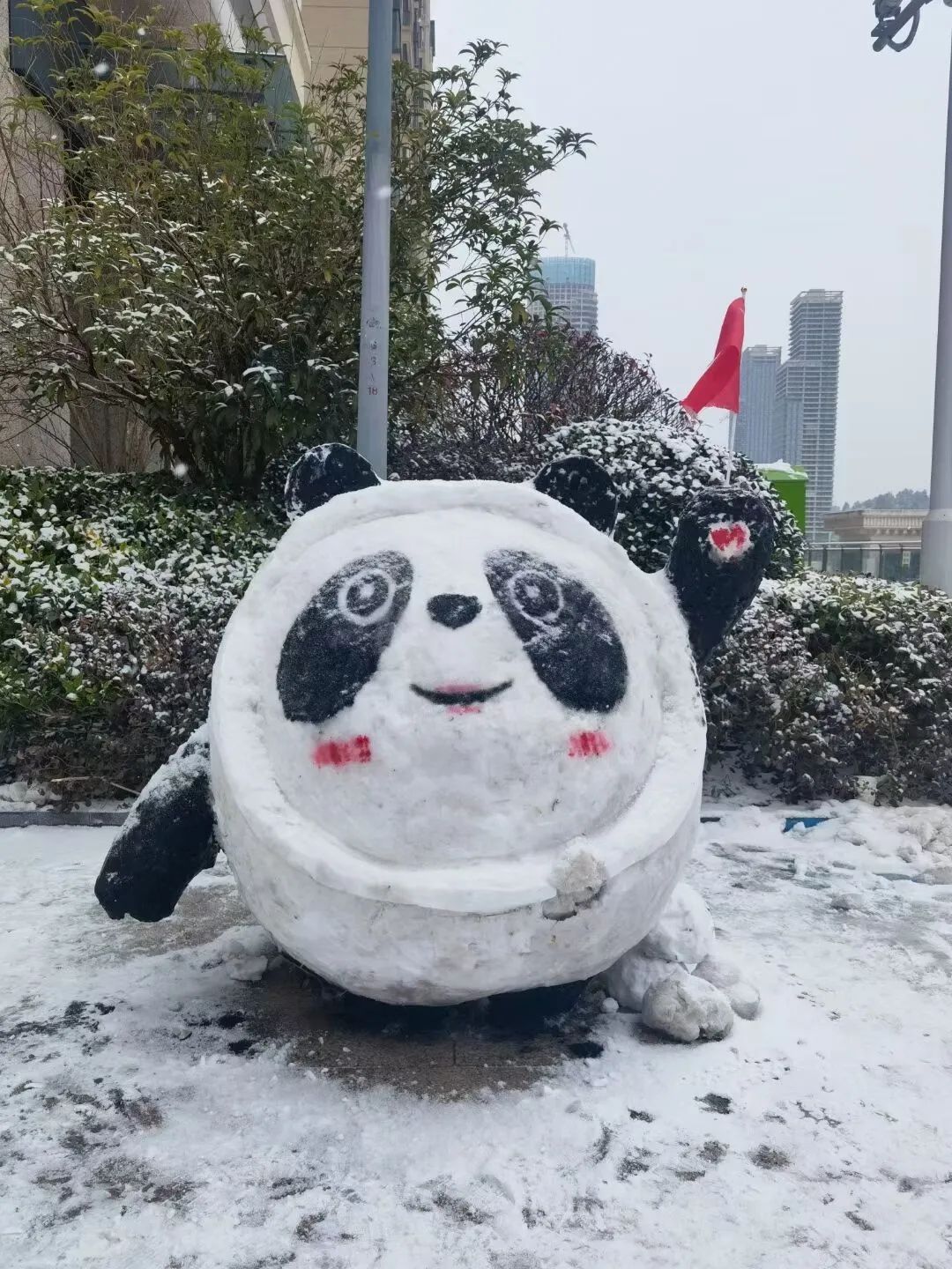 当南方雪景不输北方！2月最后的“季节限定”？| 美图