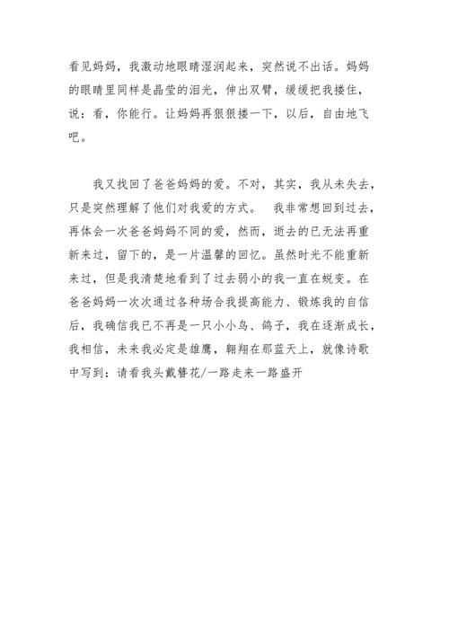 遇见另一个我作文600字