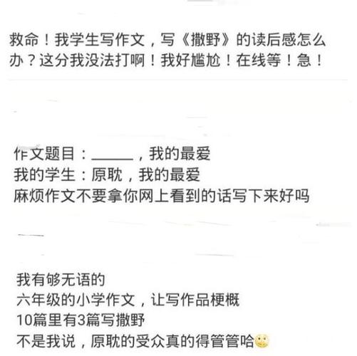 撒野作文《光》