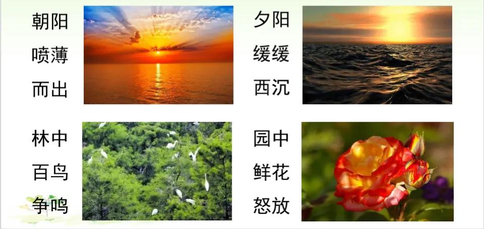 五年级语文上册第七单元作文《——即景》写作指导和范文欣赏