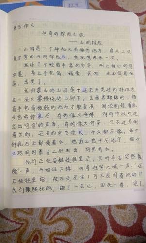 神奇的探险之旅作文300字