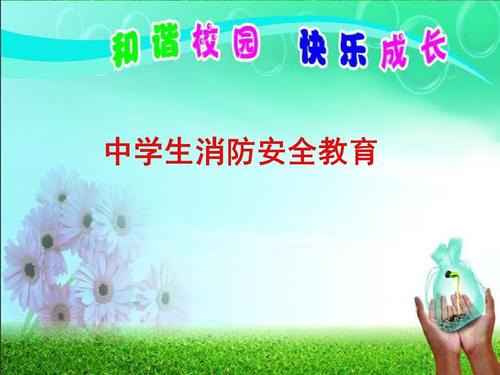 中学生安全教育(中学生安全教育主题班会)（中学生安全教育（中学生安全教育主题班会）文章) 